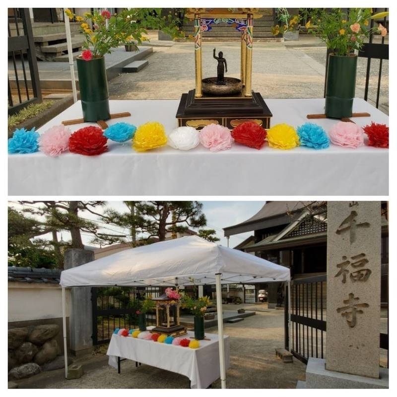 千福寺 福井市/福井県 Omairi(おまいり)