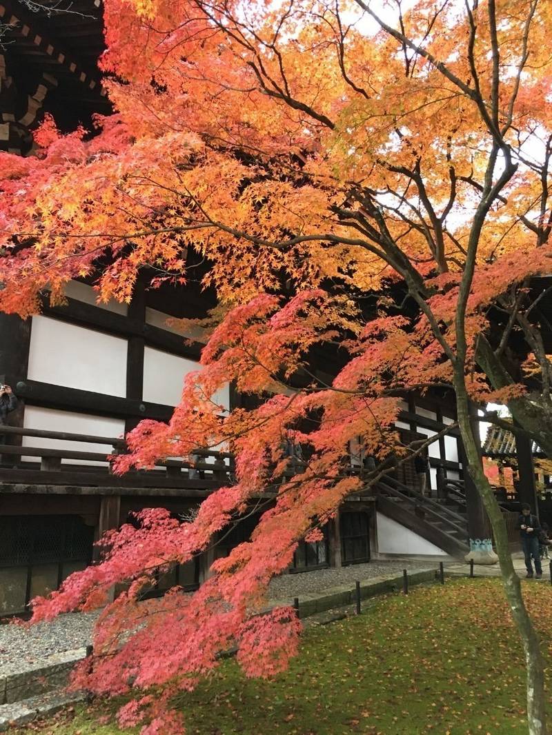 真正極楽寺 (真如堂),京都府京都市左京区浄土寺真如町82
