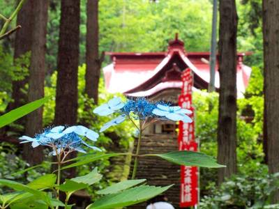 出塩文殊堂  (良向寺),見どころ,まりえい