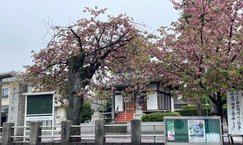 寺山杉山神社,神奈川県横浜市緑区寺山町177
