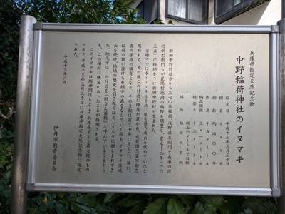 中野稲荷神社,見どころ,りょうちゃん