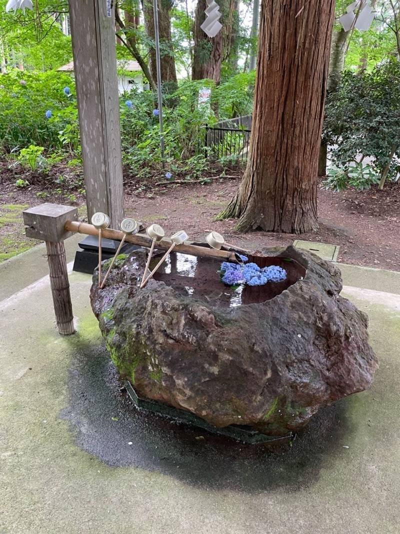 心清水八幡神社,福島県河沼郡会津坂下町塔寺字松原2908