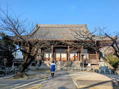 正住院,見どころ,平沢凛