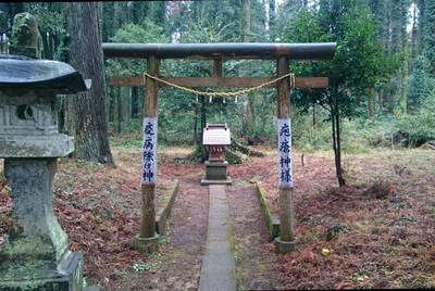 椎崎八幡神社,見どころ,のっぽのテリー
