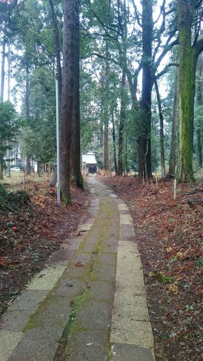 椎崎八幡神社,見どころ,のっぽのテリー