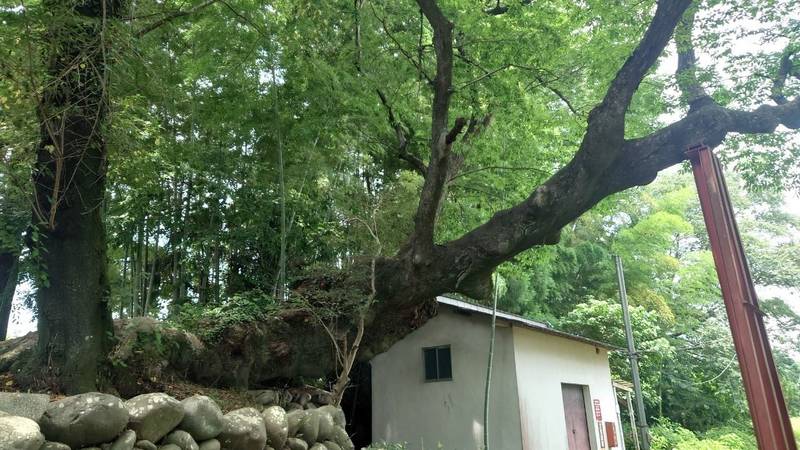 安中熊野神社,群馬県安中市安中３－６８９