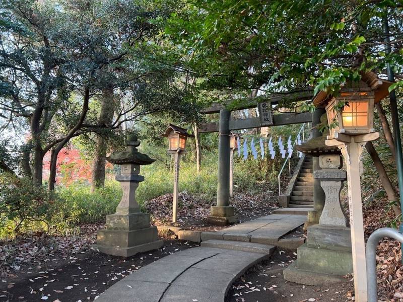 安松神社,埼玉県所沢市下安松486-1