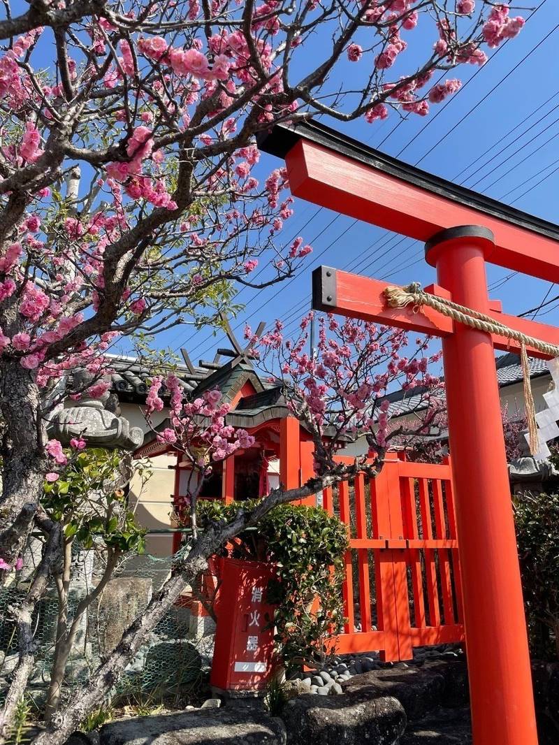 比賣神社,奈良県奈良市高畑町1352