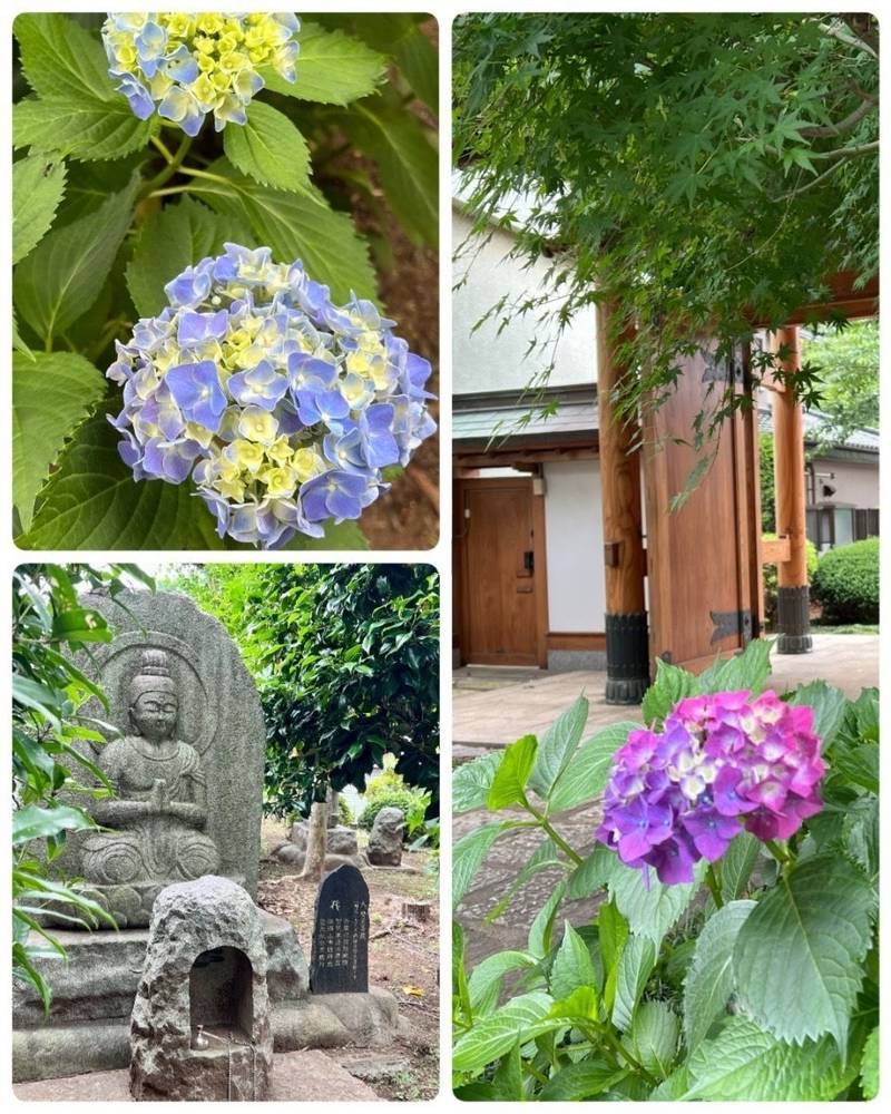 円福寺,東京都清瀬市野塩３-５１