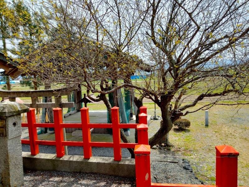 小川月神社,京都府亀岡市馬路町月読16