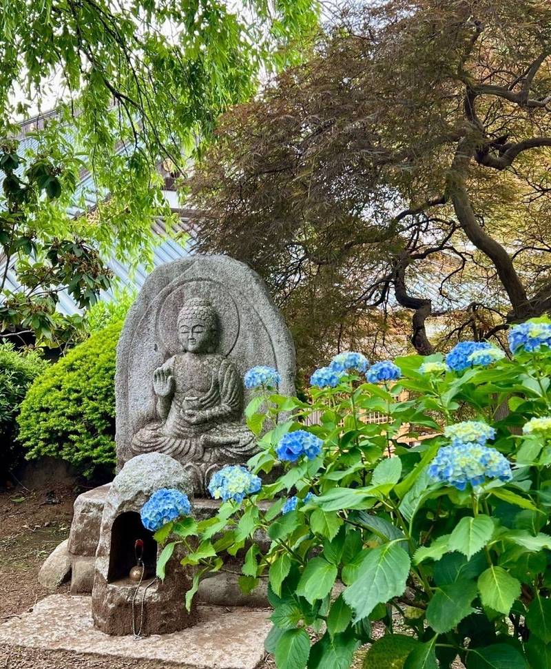 円福寺,東京都清瀬市野塩３-５１