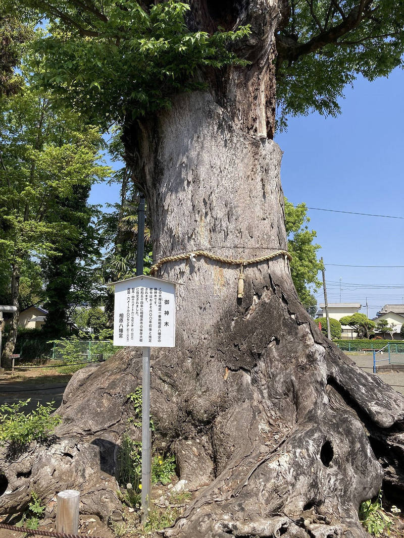 相原八幡宮,神奈川県相模原市緑区相原6-5-26
