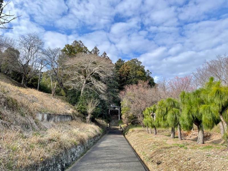 野部神社  (敷地)