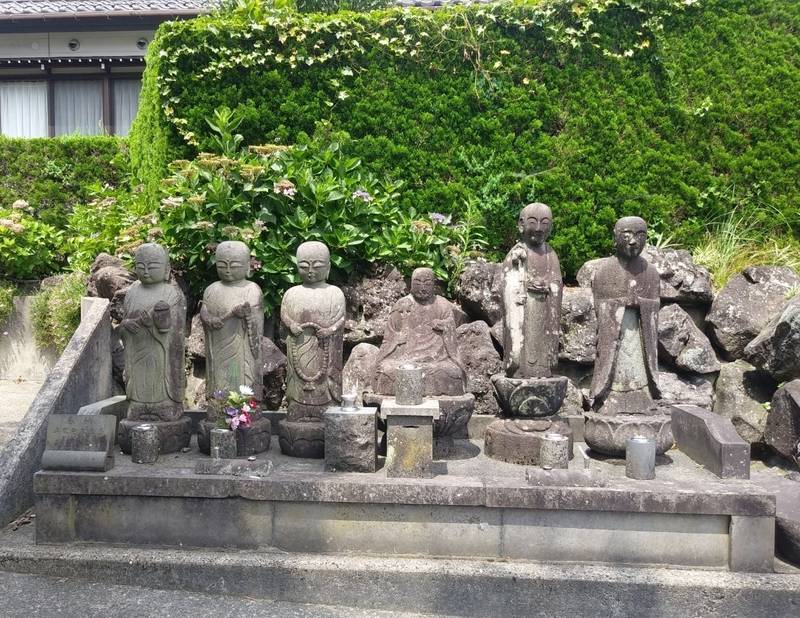 門葉寺,山形県飽海郡遊佐町藤崎千代の藤17