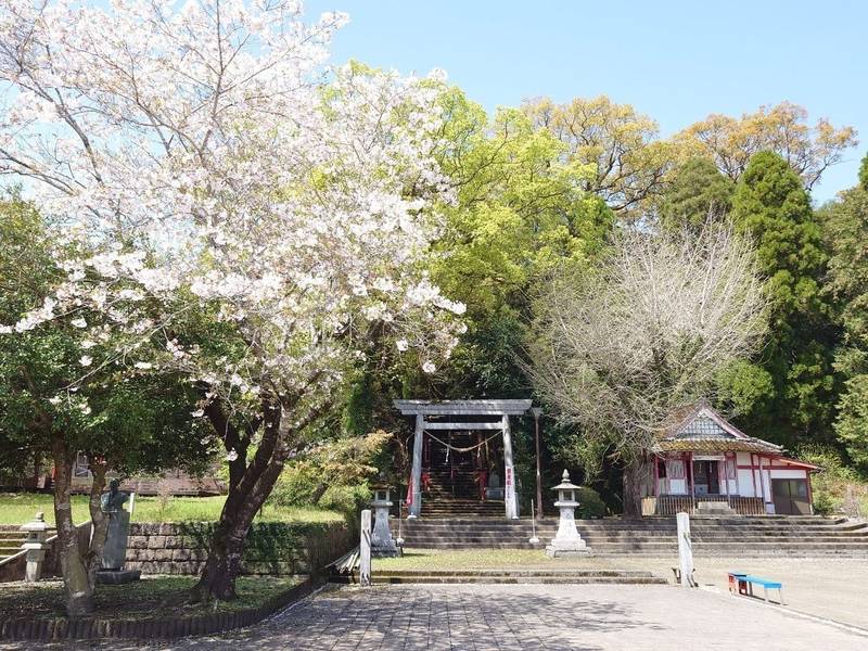 照日神社,鹿児島県曽於郡大崎町野方2891-イ