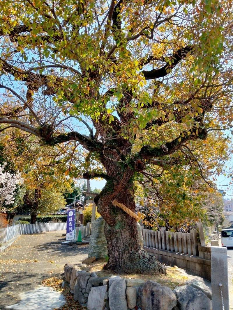 住吉神社,大阪府泉佐野市下瓦屋２丁目1-8