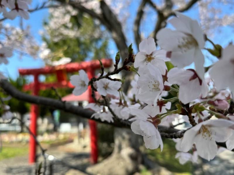 八瀧不動神社,宮城県仙台市泉区南光台南3-11
