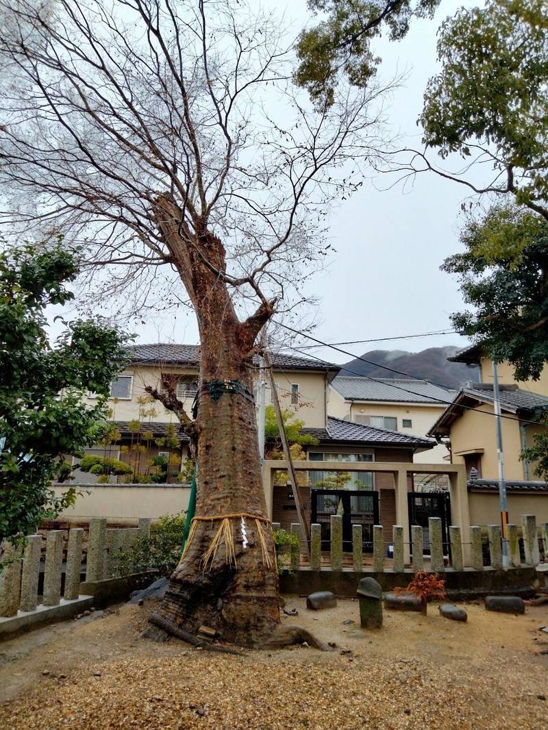 服部川八幡宮,大阪府八尾市服部川6丁目312