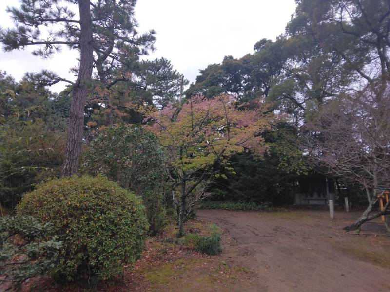 稲荷山 龍泉寺,静岡県浜松市中央区飯田町990-1