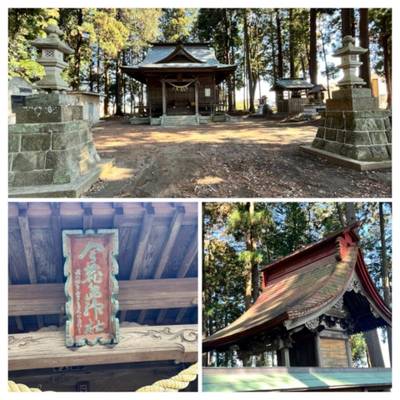 今鹿島神社,見どころ,パピピ