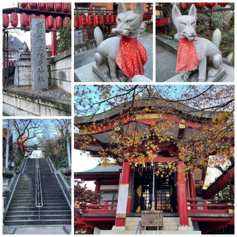 茶ノ木稲荷神社 見どころ 新宿区 東京都 Omairi おまいり