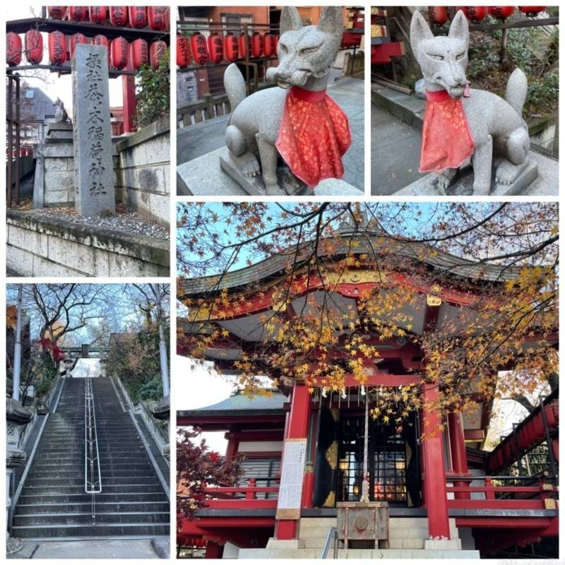 茶ノ木稲荷神社 見どころ 新宿区 東京都 Omairi おまいり 茶ノ木稲荷神社 見どころ 新宿区 東京都 Omairi おまいり