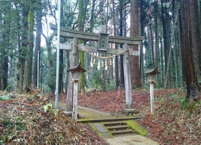 椎崎八幡神社,見どころ,のっぽのテリー