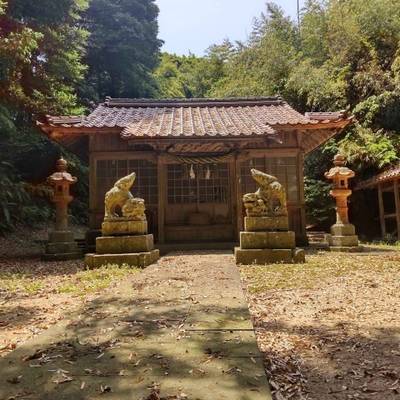 天若宮神社,見どころ,まちゃき