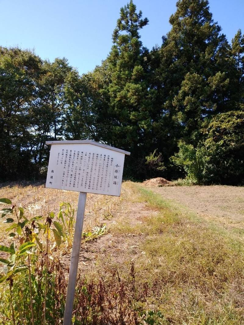 小原城跡,長野県伊那市高遠町小原