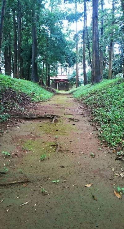 老尾神社,見どころ,のっぽのテリー