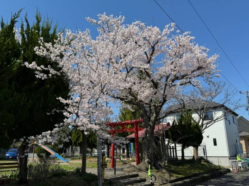 八瀧不動神社,宮城県仙台市泉区南光台南3-11