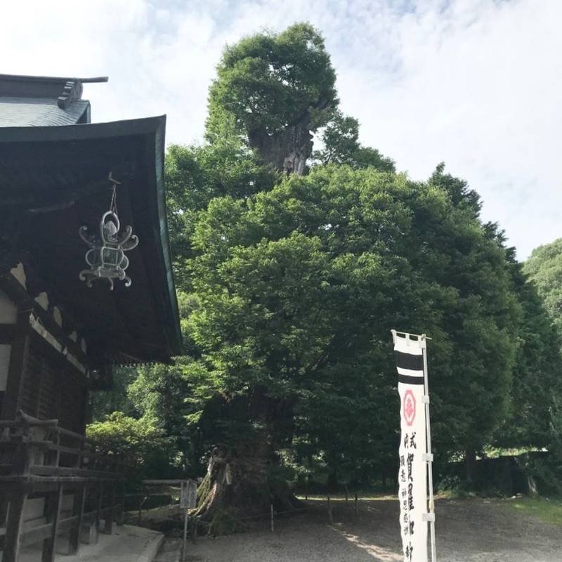賀羅加波神社,広島県三原市中之町5丁目10-20