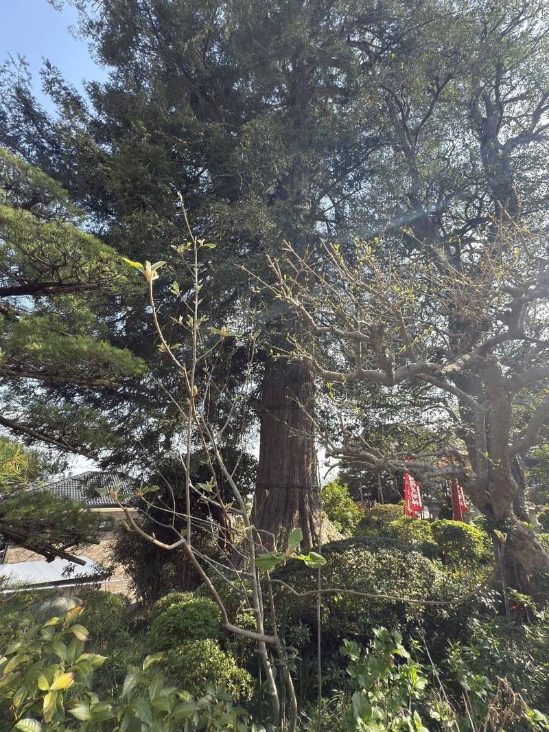 宗泉寺,東京都青梅市吹上３８５