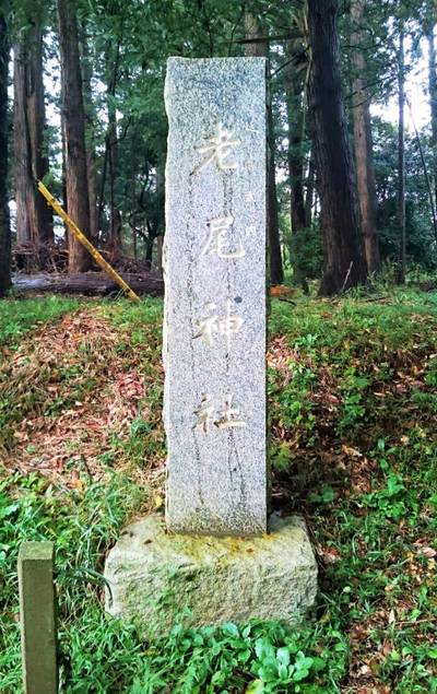 老尾神社,見どころ,のっぽのテリー