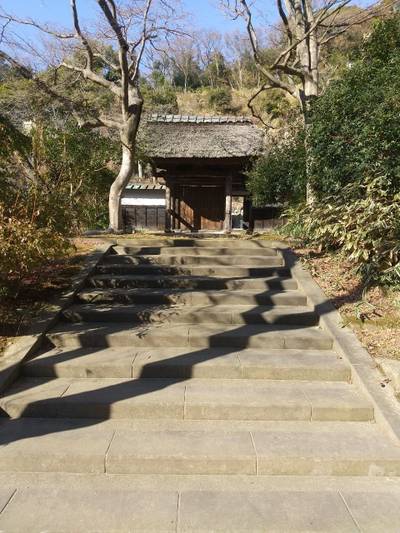 龍隠庵,見どころ,zx14