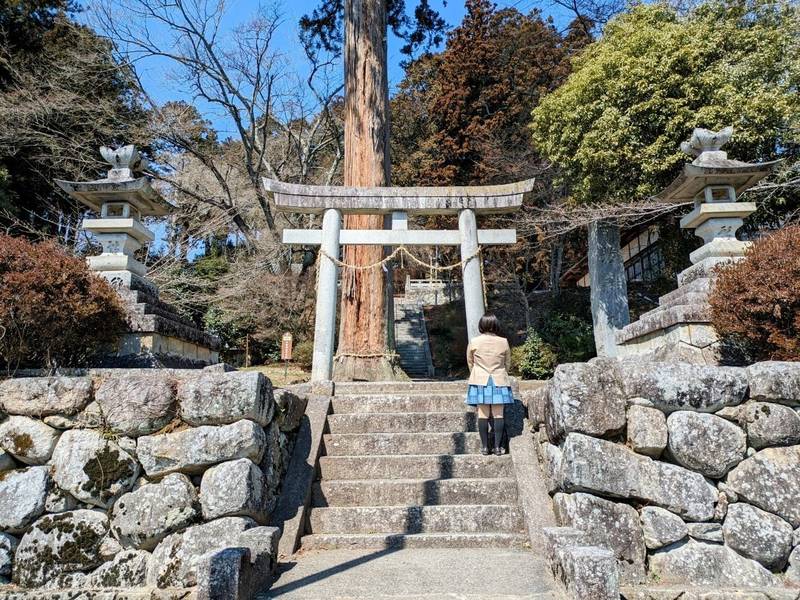牛牧神社,長野県下伊那郡高森町牛牧２１０４