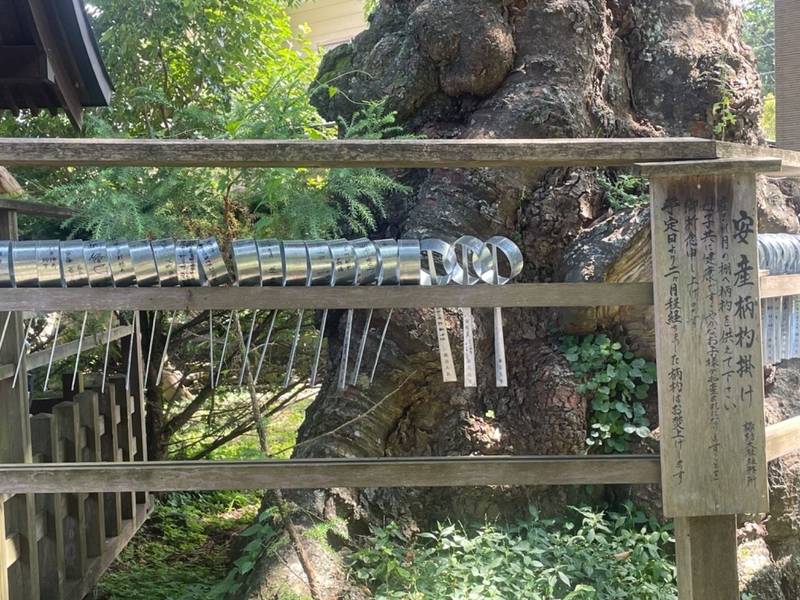 子安神社,長野県茅野市