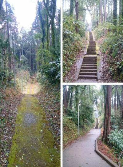 椎崎八幡神社,見どころ,のっぽのテリー