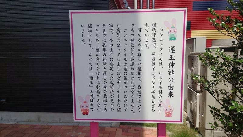 運玉神社,群馬県甘楽郡甘楽町小幡204-1
