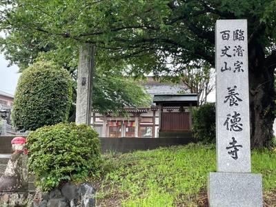 養徳寺,見どころ,you