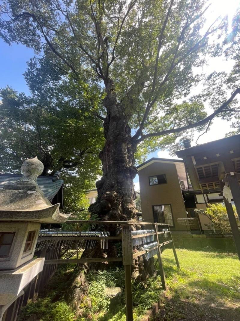 子安神社,長野県茅野市