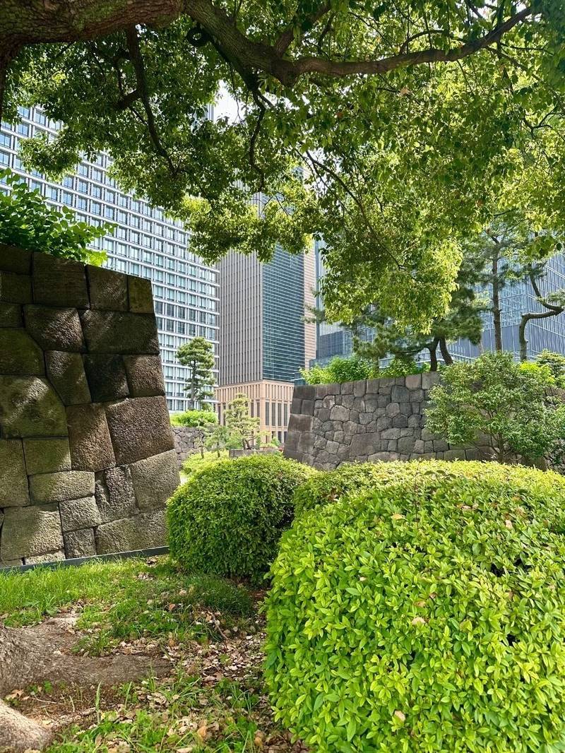 江戸城,東京都千代田区千代田