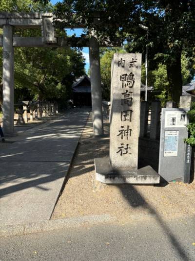 鴨高田神社,見どころ,sasaki3