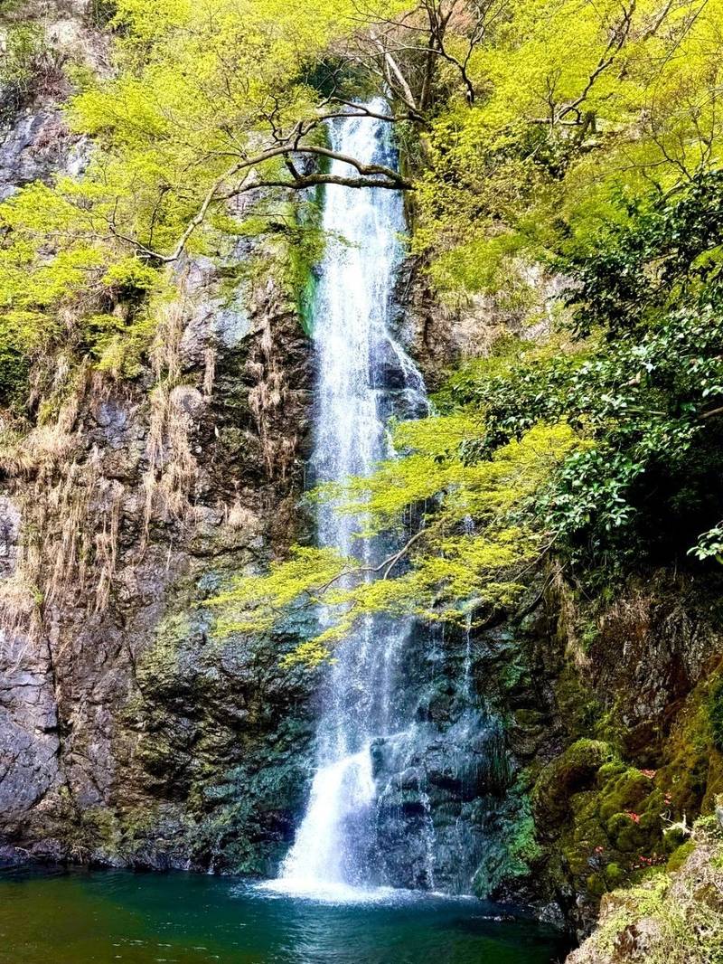 瀧安寺,大阪府箕面市箕面公園2-23