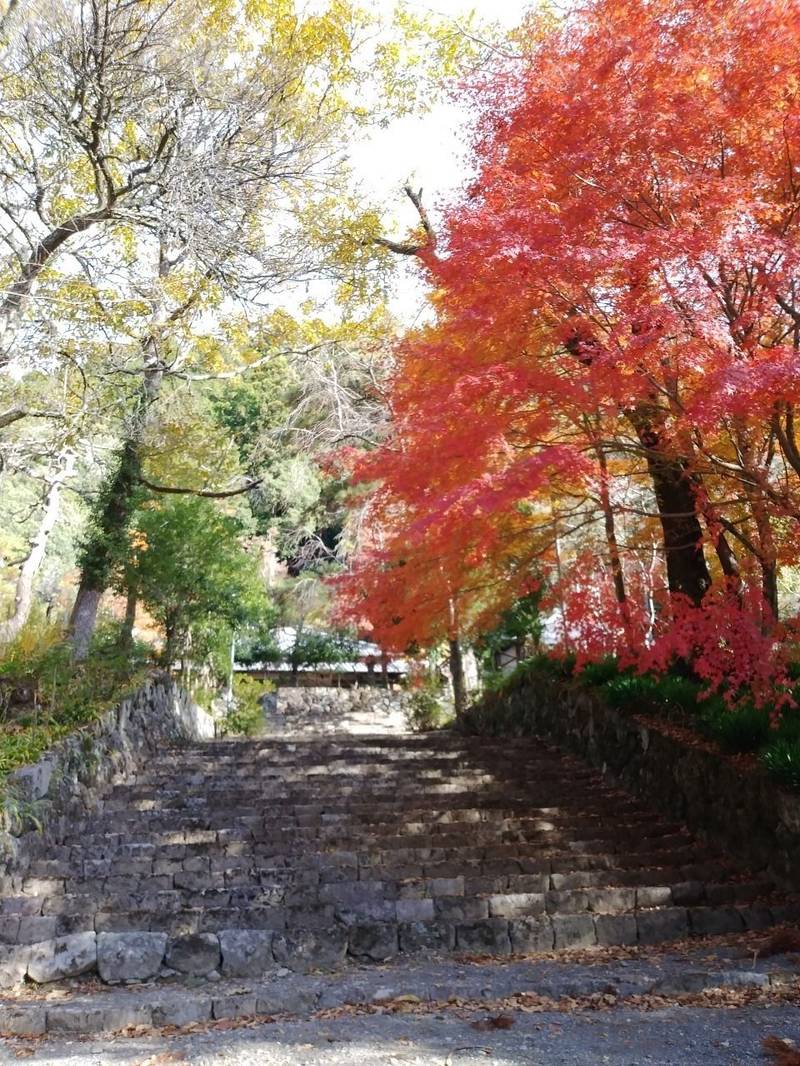 清兮寺,山梨県南巨摩郡身延町身延3573