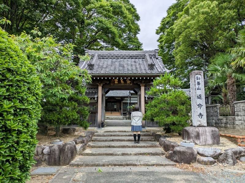 延命寺,愛知県豊川市平井町丈方36