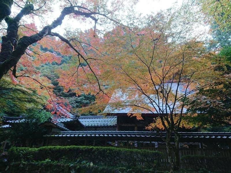 熊野神社 (黒谷町),京都府綾部市黒谷町宮の谷１７
