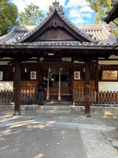 鴨高田神社,見どころ,sasaki3