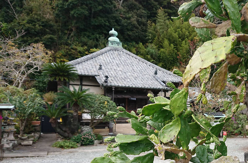 長楽寺 見どころ 下田市 静岡県 Omairi おまいり 長楽寺 見どころ 下田市 静岡県 Omairi おまいり