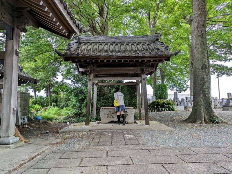 延命寺,愛知県豊川市平井町丈方36
